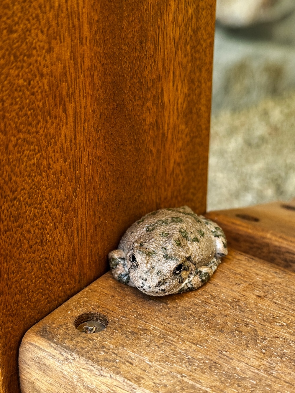 The Joy Sedona property