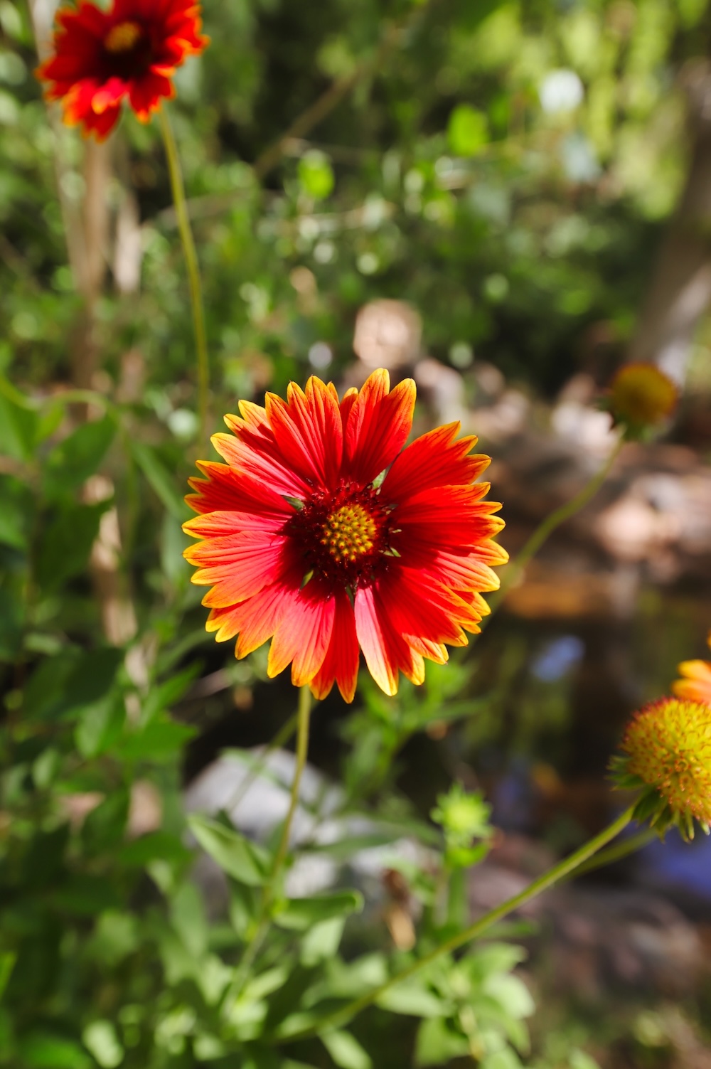 The Joy Sedona property