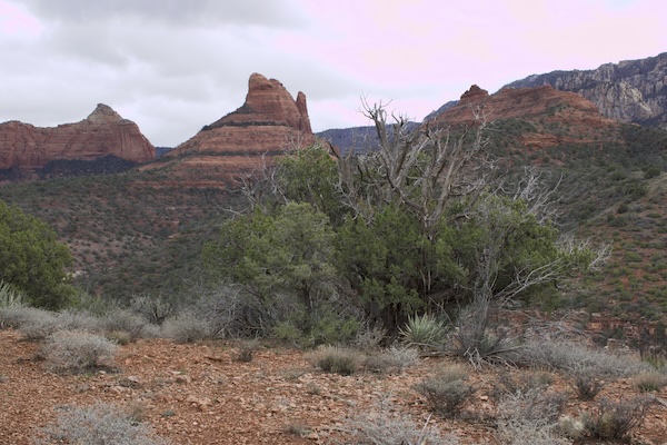 Joy Chakra Hike gallery image